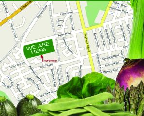 Map and directions to the allotment (off Kings Road near the school)