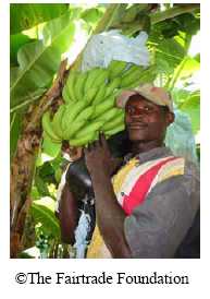 Banana grower - copyright The Fairtrade Foundation